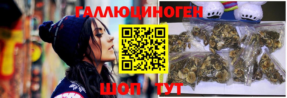 Псилоцибиновые грибы MAGIC MUSHROOMS  купить закладку  Галлюциногенные грибы ЛСД  Кубинка  Вход с VPN 